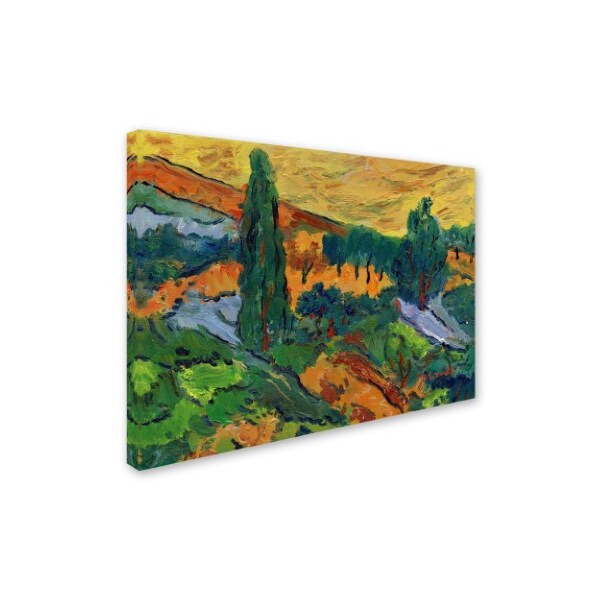 Manor Shadian 'Sunset Ends A Summer Day' Canvas Art,14x19